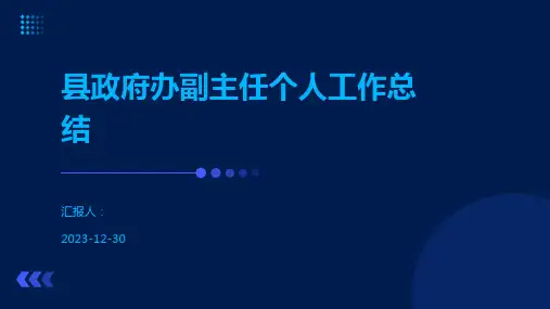县政府办副主任个人工作总结