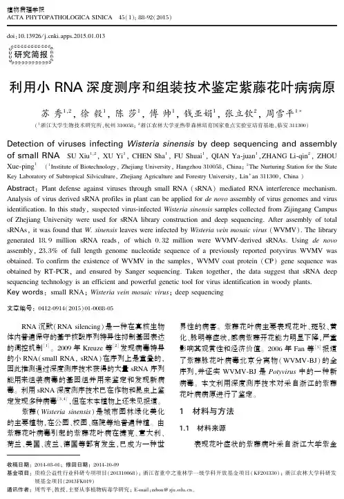 利用小RNA深度测序和组装技术鉴定紫藤花叶病病原