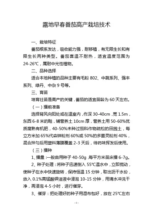 露地早春番茄高产栽培技术