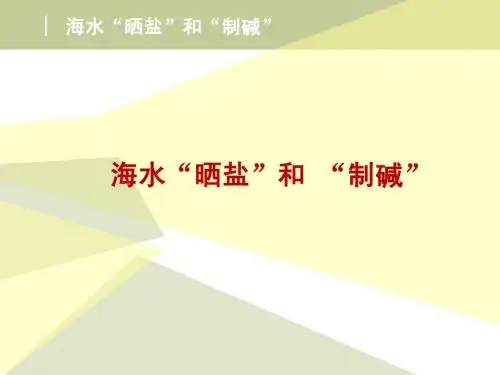 化学精品课件鲁教版海水中的化学