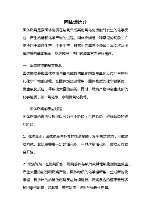 固体燃烧分