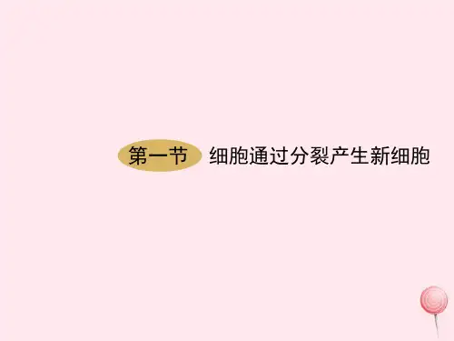 七年级生物上册第二单元第二章第一节细胞通过分裂产生新细胞课件(人教版生物)