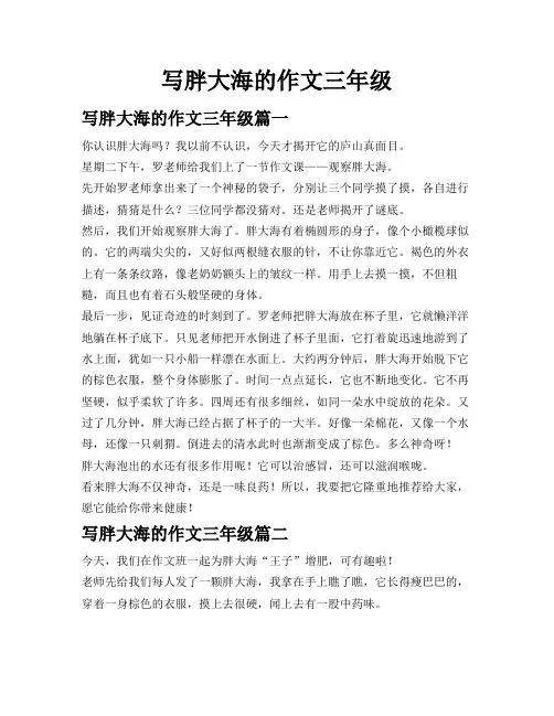 写胖大海的作文三年级