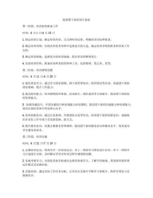 校团委干部培训计划表