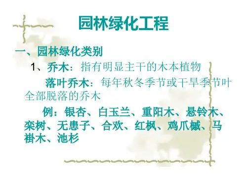 第二章  园林绿化乔灌木