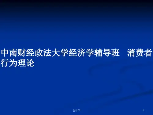 中南财经政法大学经济学辅导班   消费者行为理论PPT学习教案