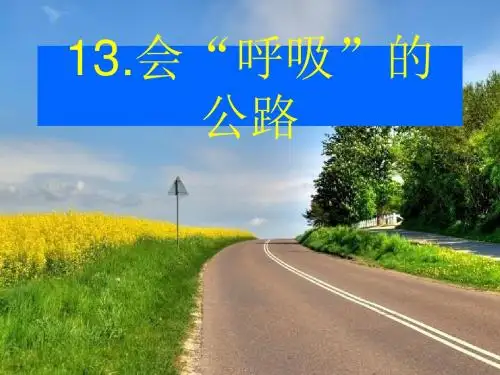 《会“呼吸”的公路》PPT课件2 (共24张PPT)