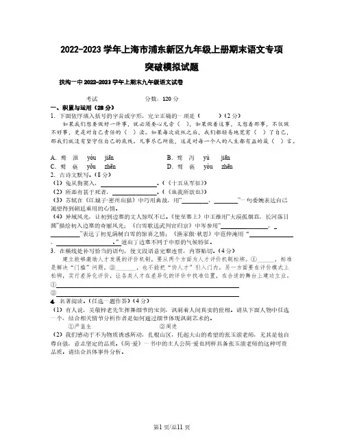 2022-2023学年上海市浦东新区九年级上册期末语文专项突破模拟试题(含解析)