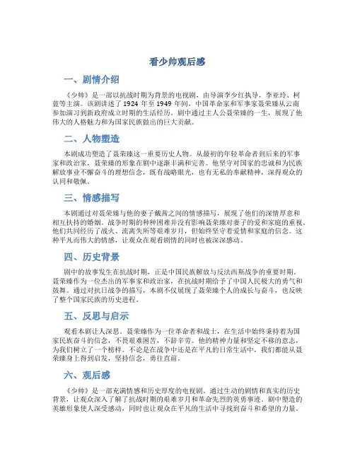 看少帅观后感