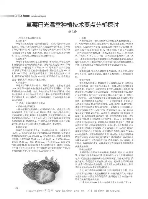 草莓日光温室种植技术要点分析探讨