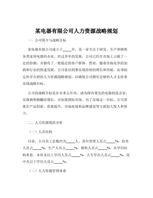 某电器有限公司人力资源战略规划