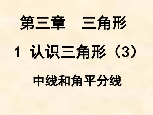 21认识三角形3