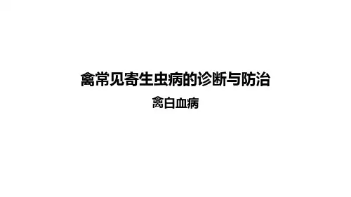 禽白血病课件(共18张PPT)《禽病防治》