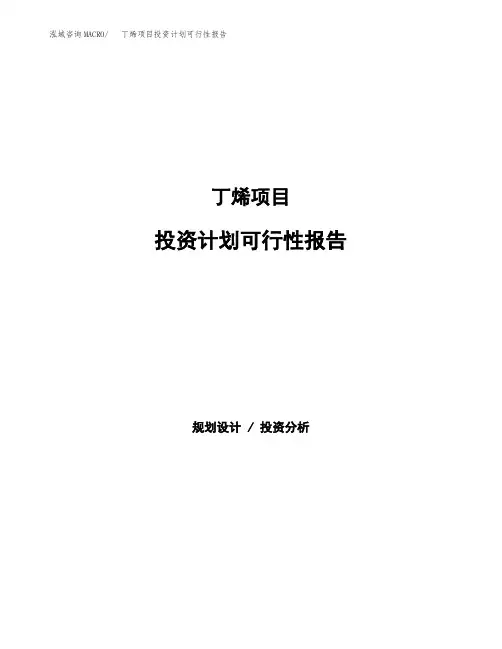 丁烯项目投资计划可行性报告(模板参考范文)