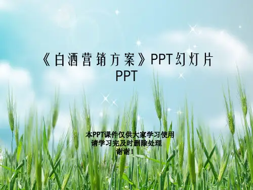 《白酒营销方案》PPT幻灯片PPT