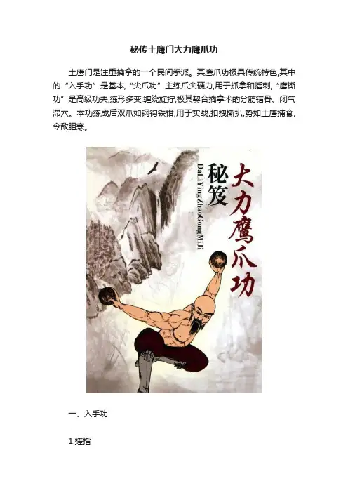 秘传土鹰门大力鹰爪功