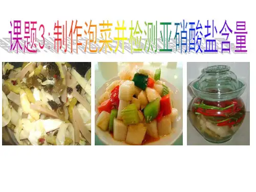 专题1 课题3 泡菜的制作 课件 2020-2021学年人教版高二生物选修1