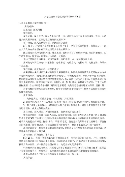 大学生暑期社会实践报告2000字3篇