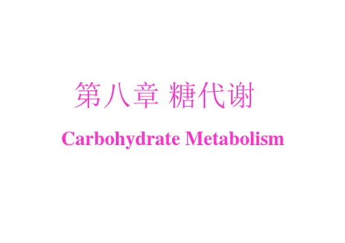 动物生物化学课件8 糖代谢