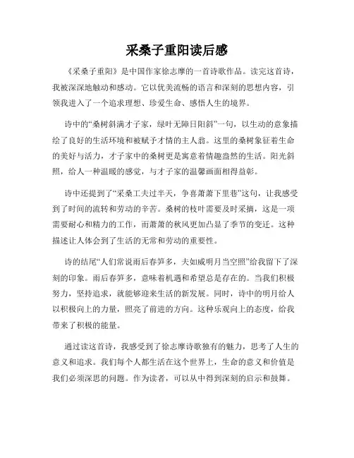 采桑子重阳读后感