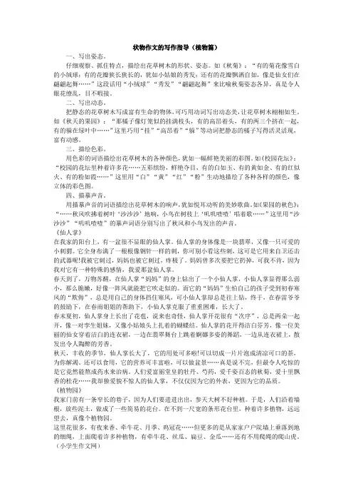 状物作文的写作指导