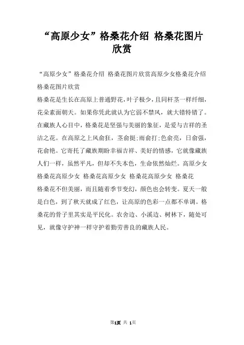 “高原少女”格桑花介绍 格桑花图片欣赏