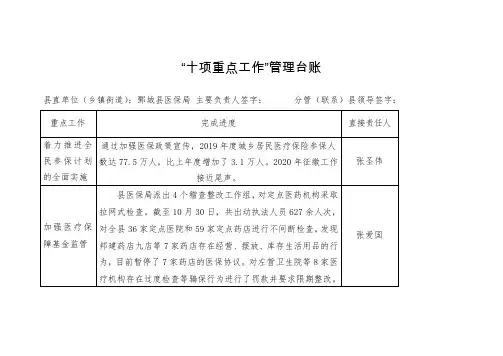 十项重点工作管理台账