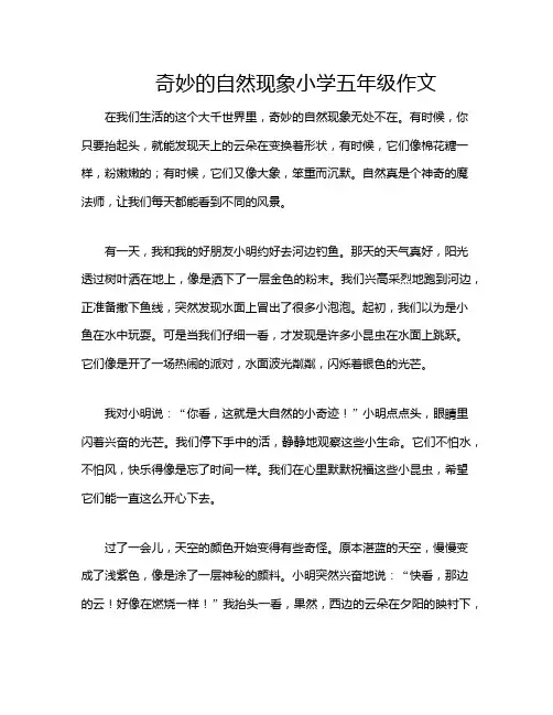 奇妙的自然现象小学五年级作文