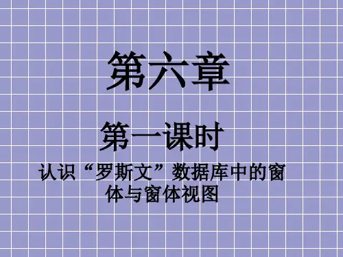 第六章第一课时认识罗斯文示例数据库中的窗体与窗体视图