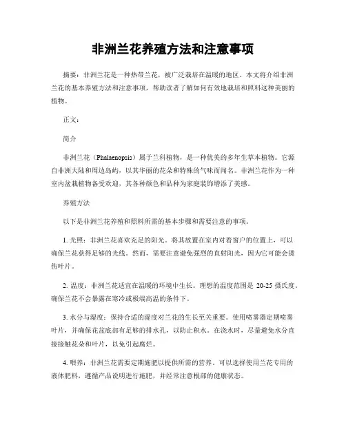 非洲兰花养殖方法和注意事项