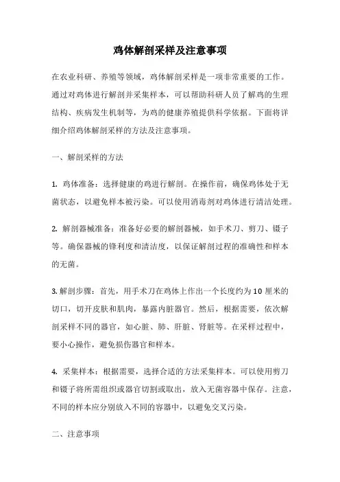 鸡体解剖采样及注意事项