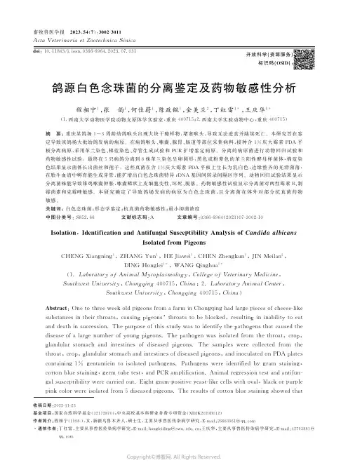 鸽源白色念珠菌的分离鉴定及药物敏感性分析