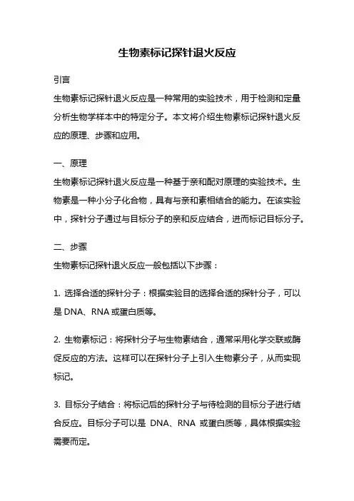 生物素标记探针退火反应