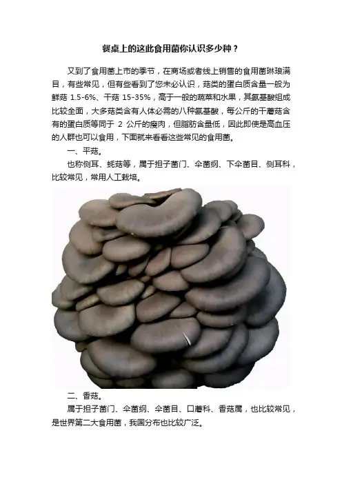 餐桌上的这此食用菌你认识多少种？