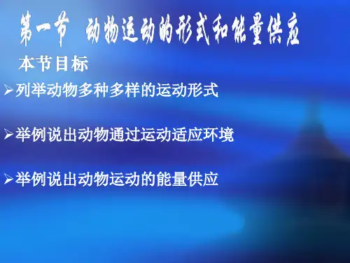 苏教版初中生物八年级上册 6.17.1 动物运动的形式和能量供应 课件(共17张PPT)