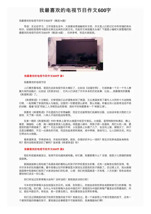 我最喜欢的电视节目作文600字