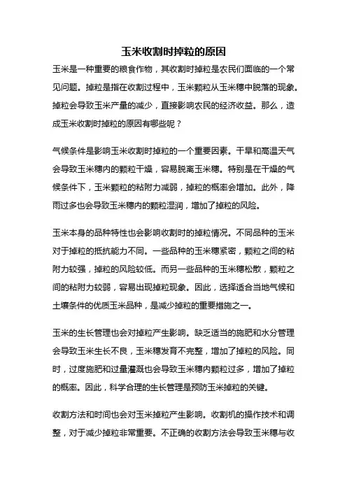玉米收割时掉粒的原因