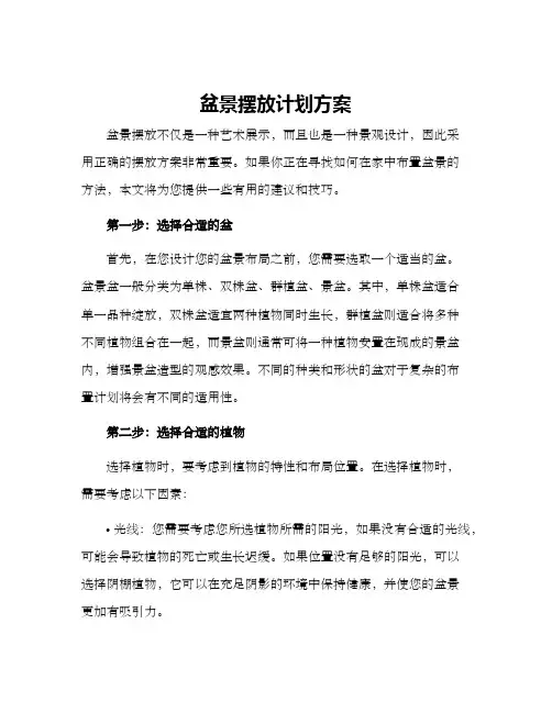 盆景摆放计划方案