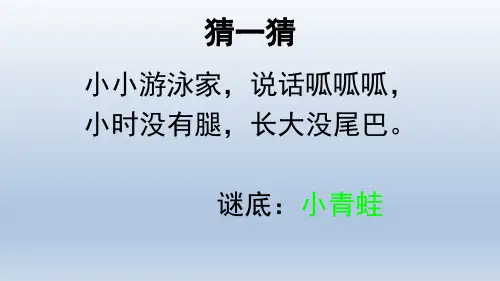 3.小青蛙 课件 (14张PPT)