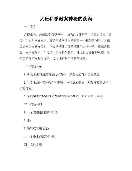 大班科学教案神秘的漩涡