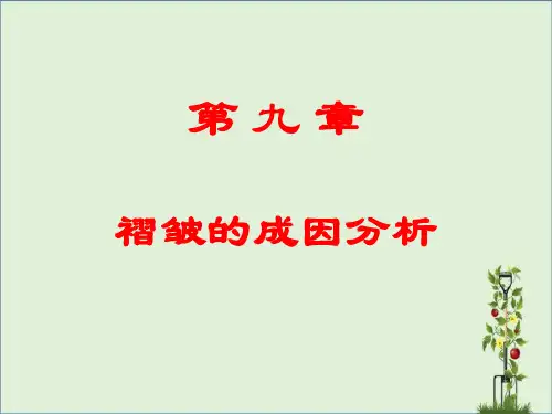 剪切褶皱作用