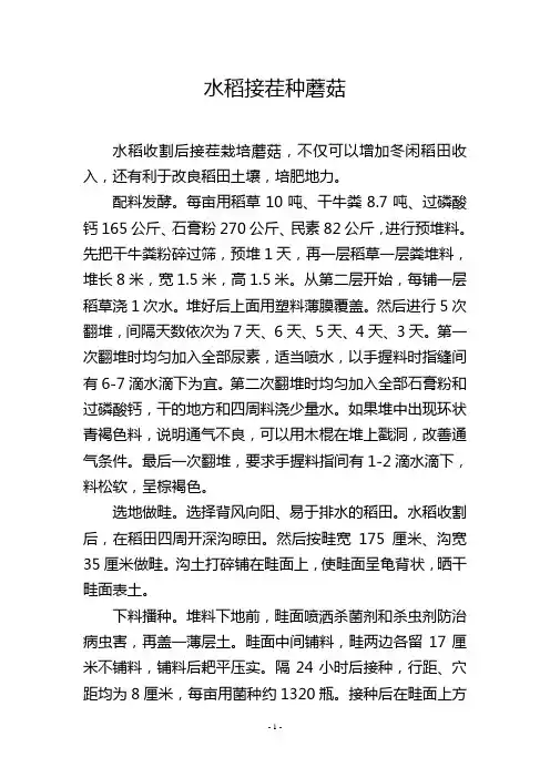 水稻接茬种蘑菇