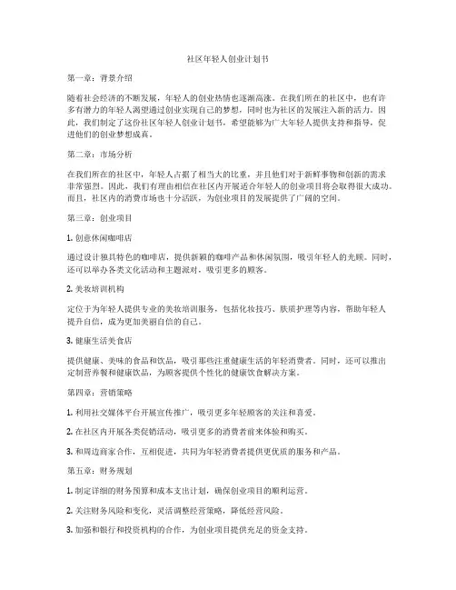 社区年轻人创业计划书