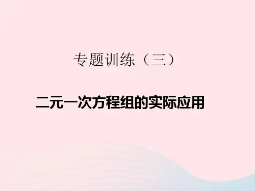 七年级数学下册专题训练3二元一次方程组的实际应用作业新版新人教版