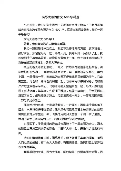 描写大海的作文600字精选