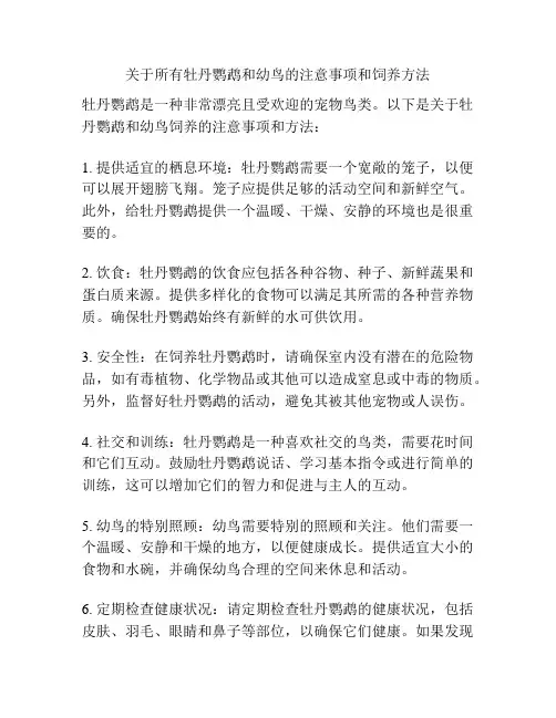 关于所有牡丹鹦鹉和幼鸟的注意事项和饲养方法