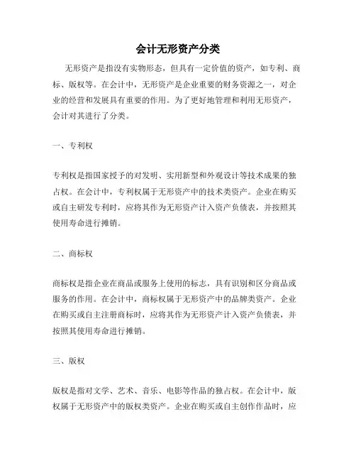 会计无形资产分类
