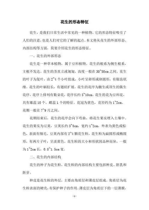 花生的形态特征
