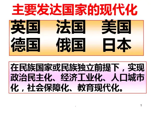 主要发达国家的现代化(精)PPT课件