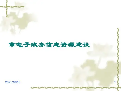 第4章电子政务信息资源